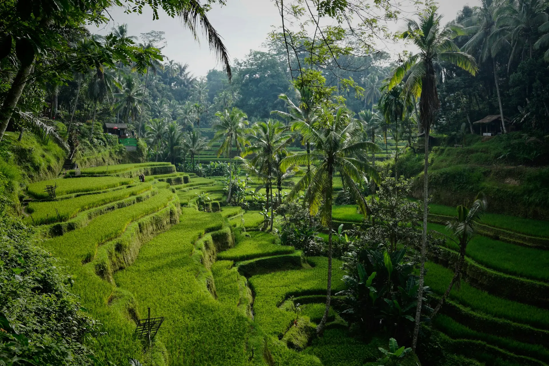 Bali Balayı Paketi 1