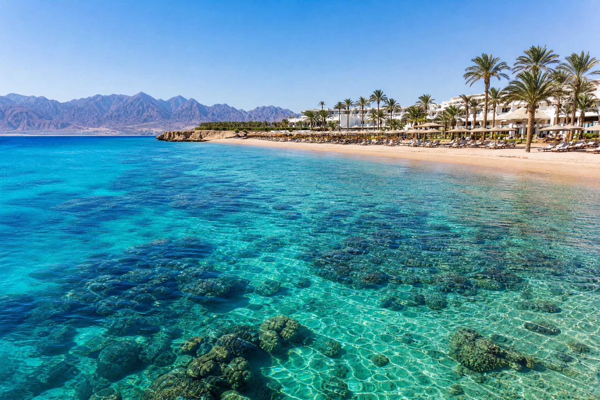 Mısır Sharm el-Sheikh Tatil Rehberi: Kızıldeniz, Mercanlar ve Balık Tutma