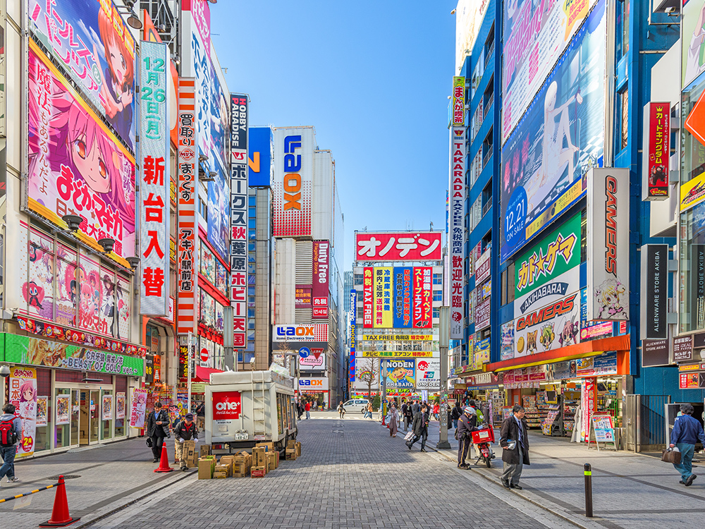 Elegant Japonya Turu